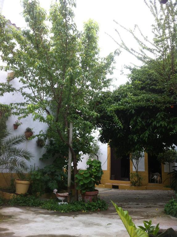 Patio Das Flores Ferreira Do Alentejo Zewnętrze zdjęcie