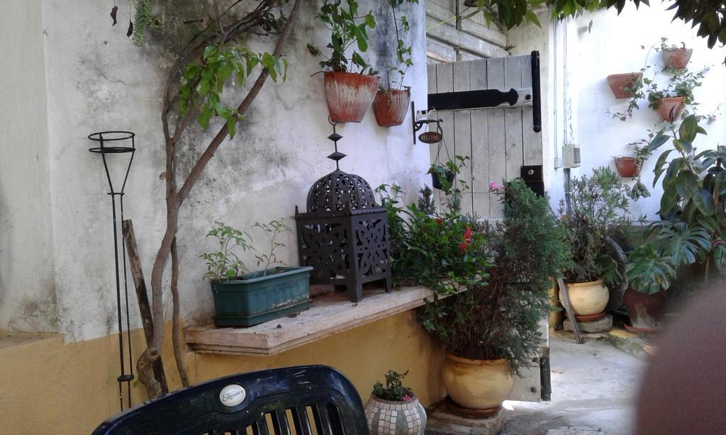 Patio Das Flores Ferreira Do Alentejo Zewnętrze zdjęcie