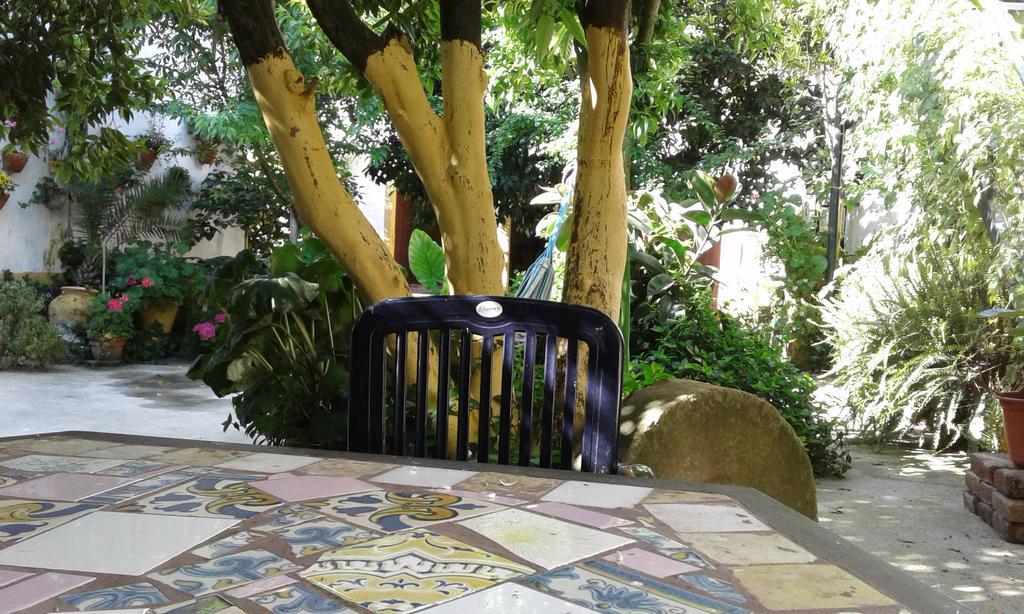 Patio Das Flores Ferreira Do Alentejo Zewnętrze zdjęcie
