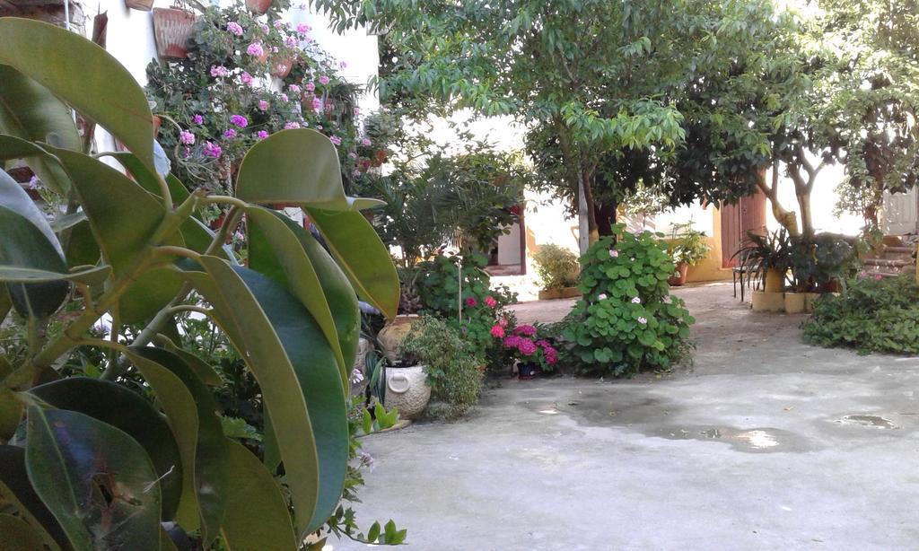 Patio Das Flores Ferreira Do Alentejo Zewnętrze zdjęcie