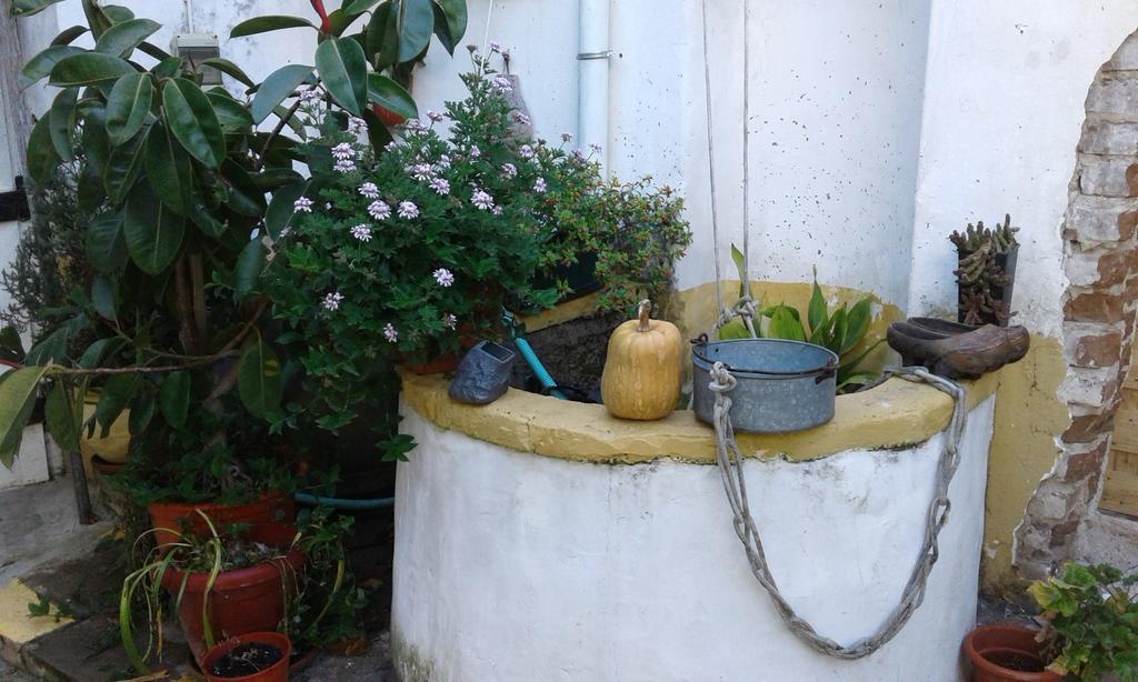Patio Das Flores Ferreira Do Alentejo Zewnętrze zdjęcie