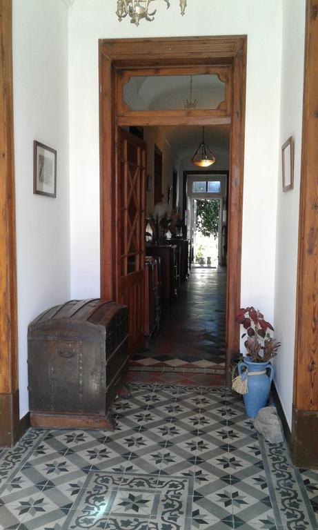 Patio Das Flores Ferreira Do Alentejo Zewnętrze zdjęcie